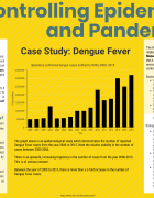Dengue Fever and Disease Control